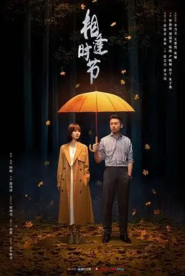 《相逢时节》：这国产剧看得人血压飙升！编剧你出来挨打！