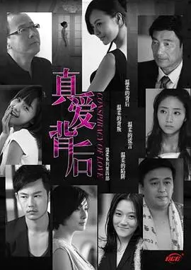 真爱背后 海报